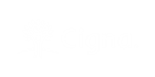 Cigna Logo 2
